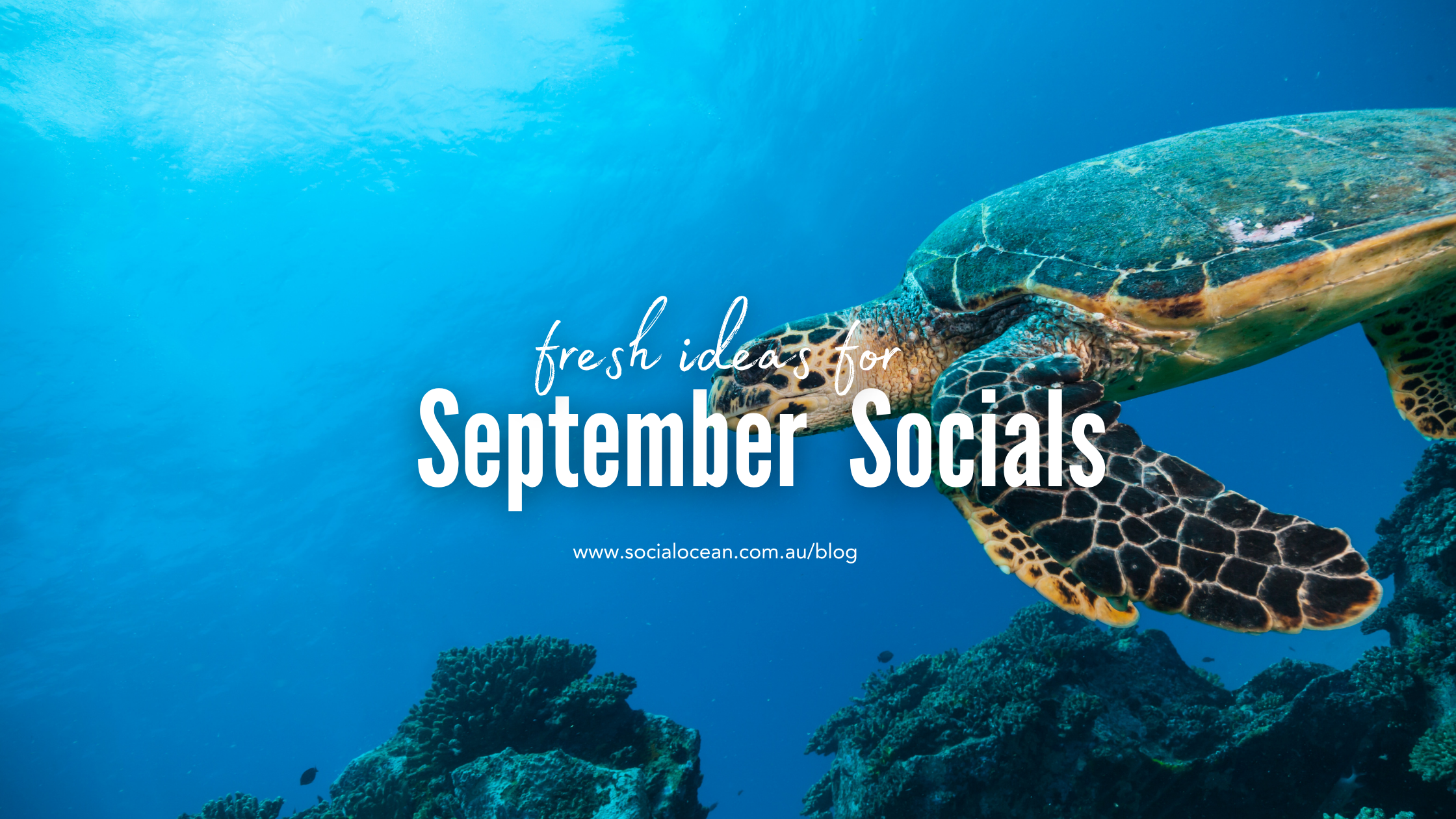 September Social Media Dates